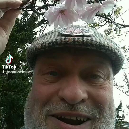#NEWSFLASH My Cherry Has Popped Out #share #Livestream #TikTok #SaturdayMorning #SaturdayMotivation #Saturday #viral #Trending #VideoViral #Rangers #Celtic #MUFC #MCFC #lufc #NUFC #LFC #efc #afc #lcfc #avfc #BCFC #sufc #swfc #MayThe4thBeWithYou #LocalElections2021 #Icons #Twitter https://t.co/BsMa2Ozoyn