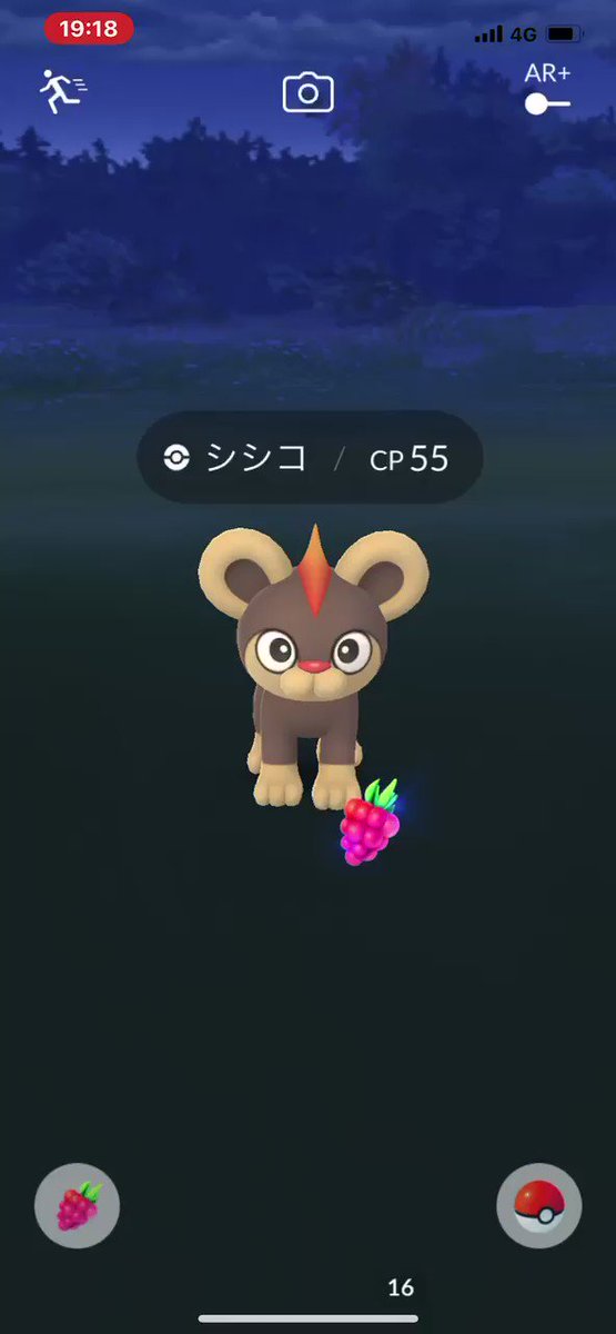 ポケモンgo シシコの入手方法 能力 技まとめ 攻略大百科 ポケモンgo シシコの入手方法 能力 技まとめ 攻略大百科