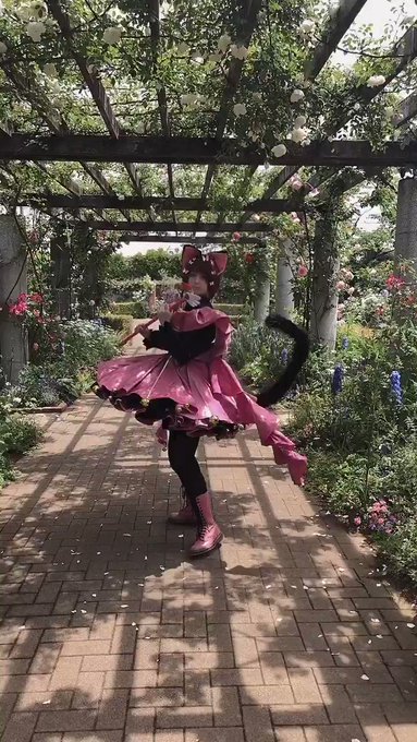 コスプレイヤーリズのTwitter動画22