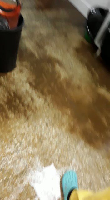 Y como si fuera poco. Agua en el piso Covid del Hospital del Castro Rendón. La situación ya habría sido solucionada. Mientras, se esperan resoluciones o anuncios del Gobierno provincial. #Neuquén https://t.co/Yd4IFuqepR