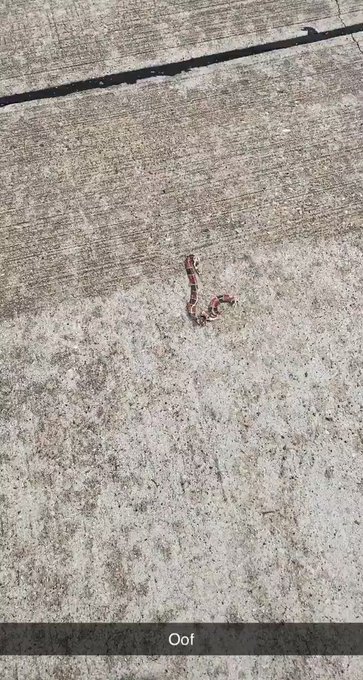 Oof #oof #amazondelivery #amazondriver #vanlife https://t.co/AFLWluP9I8<a href="/tag/oof"class="tags">&#35;oof</a><a href="/tag/amazondelivery"class="tags">&#35;amazondelivery</a><a href="/tag/amazondriver"class="tags">&#35;amazondriver</a><a href="/tag/vanlife"class="tags">&#35;vanlife</a>