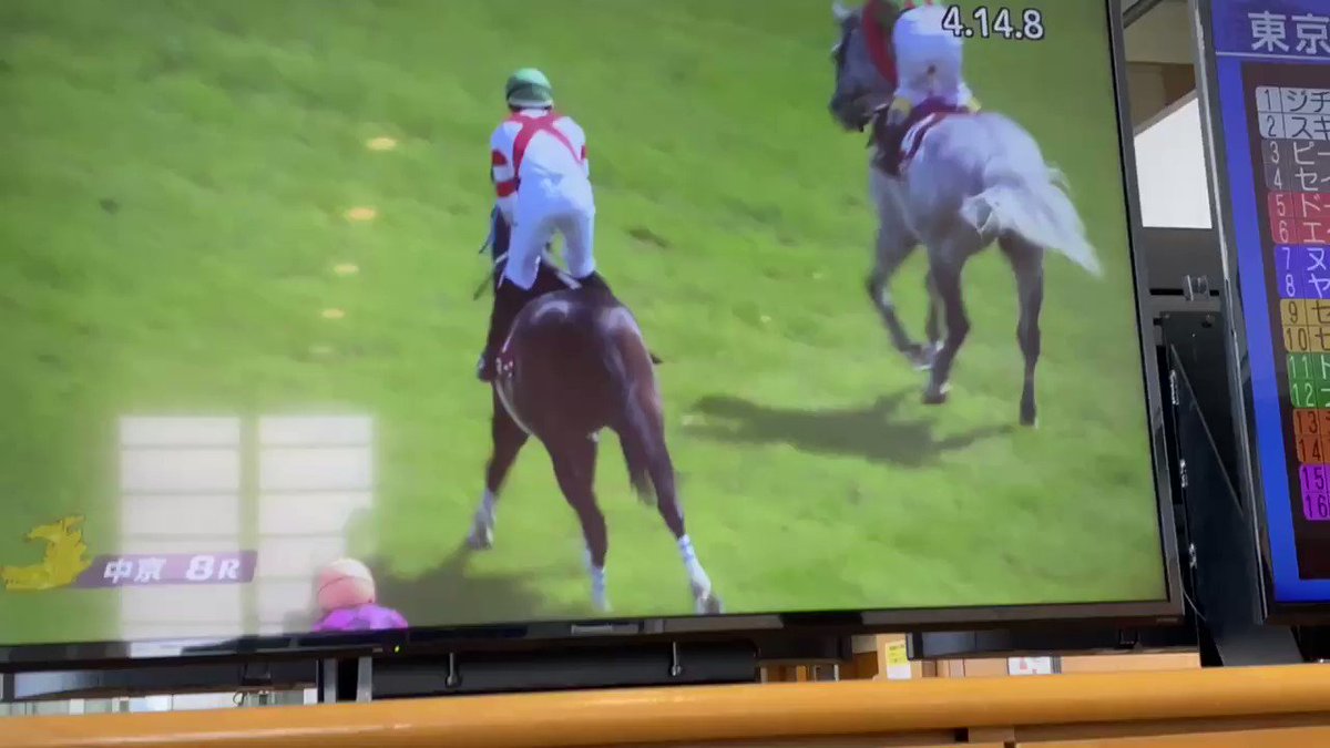 【京都ハイジャンプ】三津谷隼人、ラスト騎乗で初の重賞制覇! ⑦マーニで悲願を果たすまとめのカテゴリ一覧いろいろまとめbeansについて関連サイト一覧
