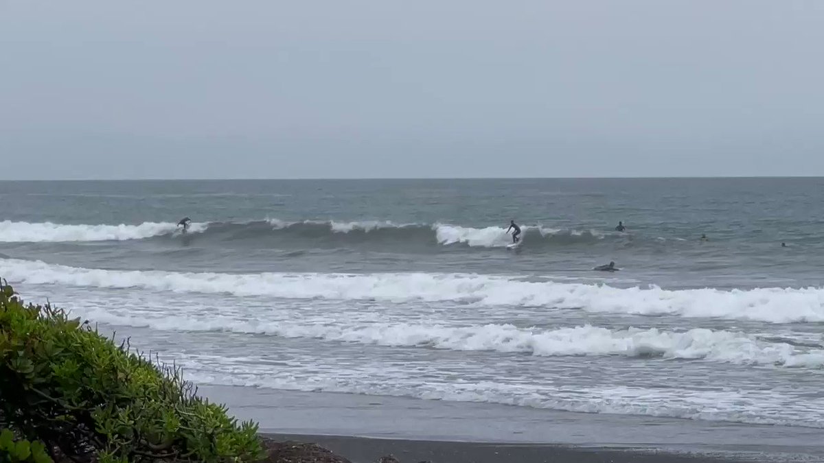 静岡 波ッス Shiz Surf Wave Twitter 静岡 波ッス Shiz Surf Wave Twitter