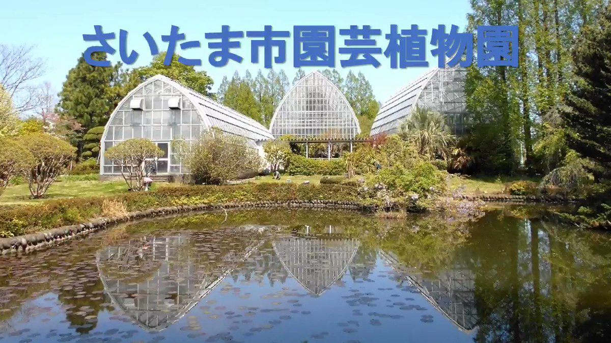 さいたま市農業政策部 園芸植物園からのお知らせ 木々の新緑の色合いの鮮やかさに季節の変化を感じる時期ですが 連日 曇り空や雨が降り 走り梅雨のような天気が続いています 現在 園内では 多くのバラが見頃となっています 園芸植物園 花 さいたま市農業政策部 園芸植物園からのお知らせ 木々の新緑の色合いの鮮やかさに季節の変化を感じる時期ですが 連日 曇り空や雨が降り 走り梅雨のような天気が続いています 現在 園内では 多くのバラが見頃となっています 園芸植物園 花