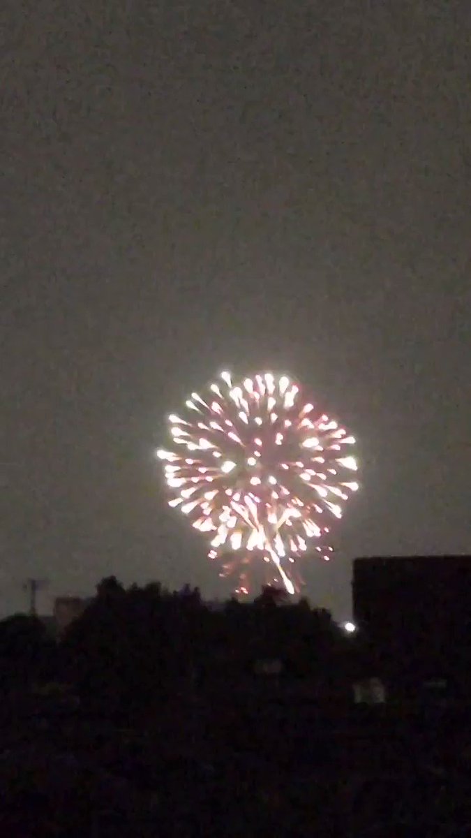 花火大会 埼玉県 川口市でサプライズ花火が打ちあがる 現地の画像 まとめ まとめダネ