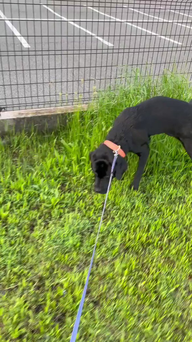 犬好きさんと繋がりたい Hotワード 犬好きさんと繋がりたい Hotワード