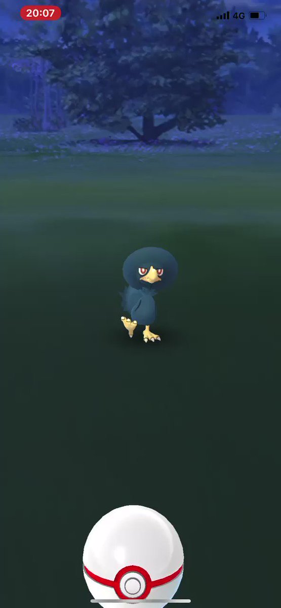 ポケモンgo ヤミカラスの入手方法 能力 技まとめ 攻略大百科 ポケモンgo ヤミカラスの入手方法 能力 技まとめ 攻略大百科