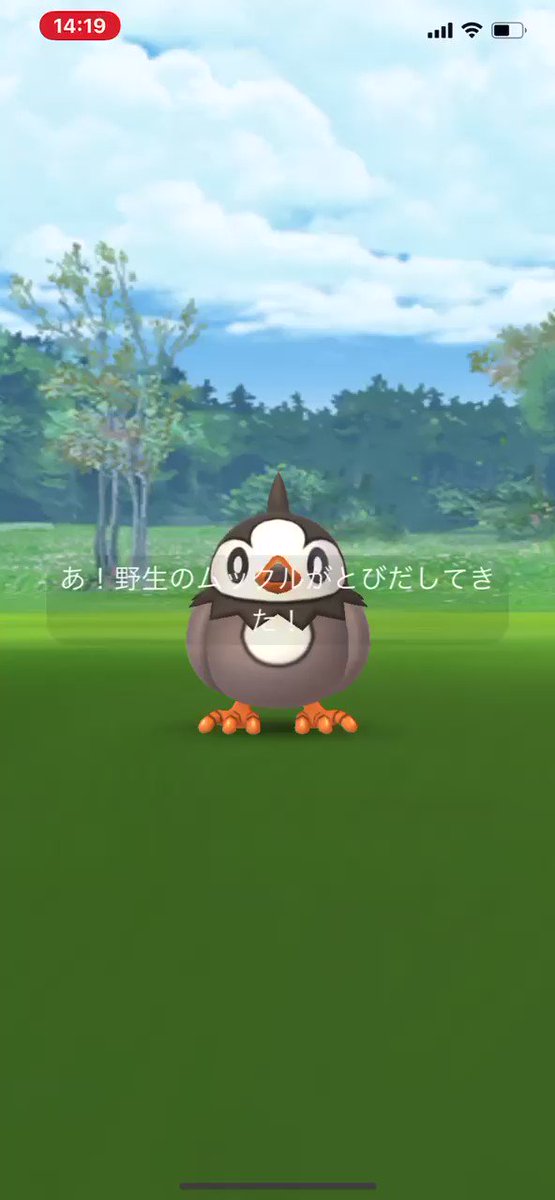 ポケモンgo ムックルの入手方法 能力 技まとめ 攻略大百科 ポケモンgo ムックルの入手方法 能力 技まとめ 攻略大百科