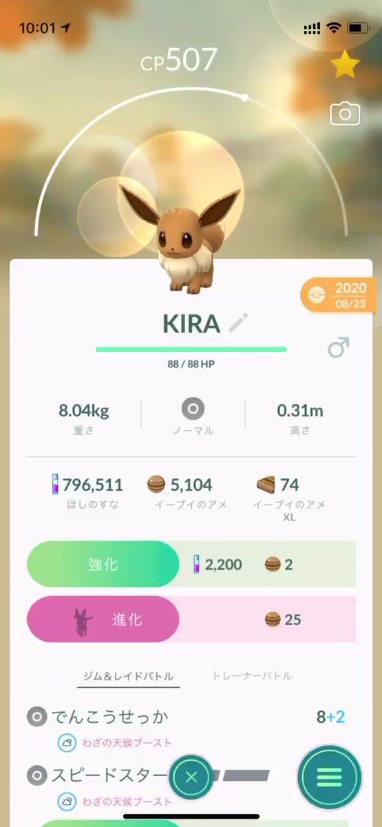 ニンフィア X ニンフィアに進化 Hotワード ニンフィア X ニンフィアに進化 Hotワード