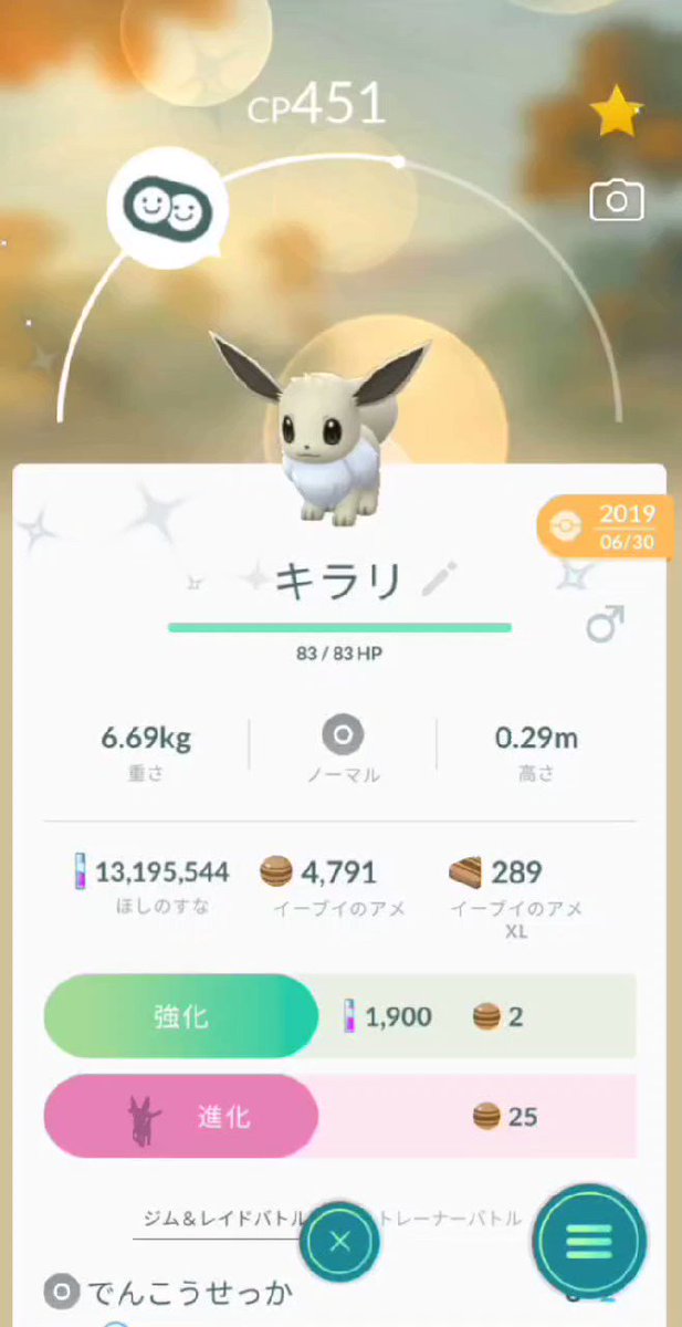 ニンフィア X キラリ Hotワード ニンフィア X キラリ Hotワード