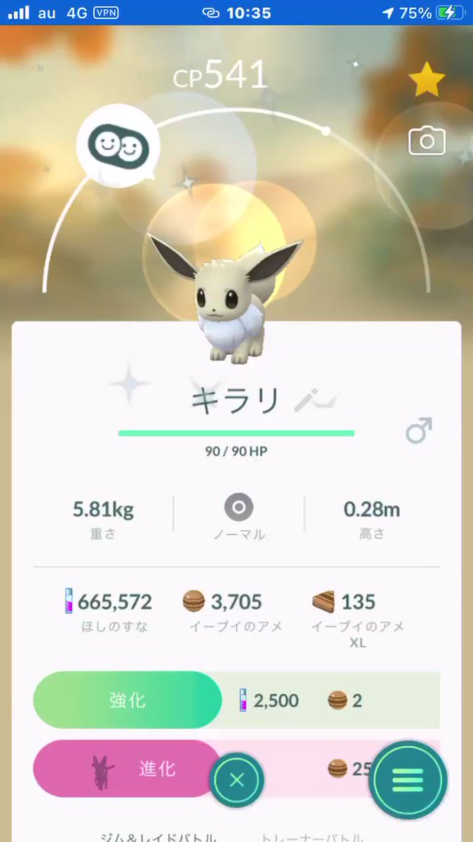 ニンフィア Hotワード ニンフィア Hotワード