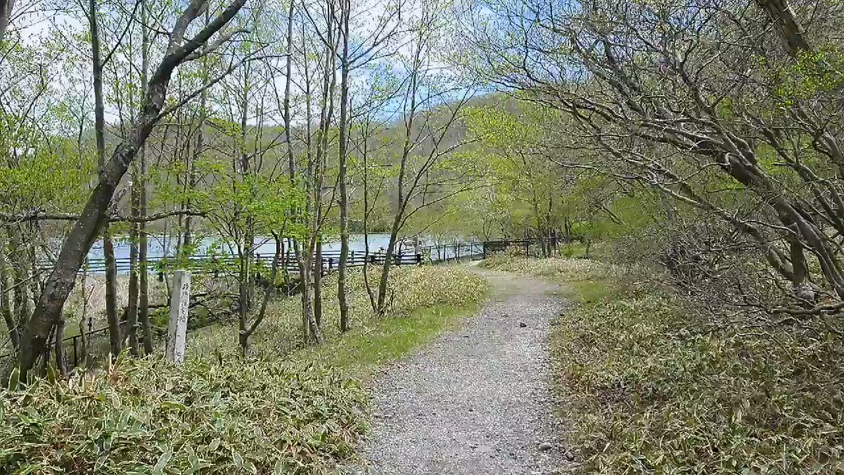 21年05月25日の赤城山 赤城山日記 21年05月25日の赤城山 赤城山日記