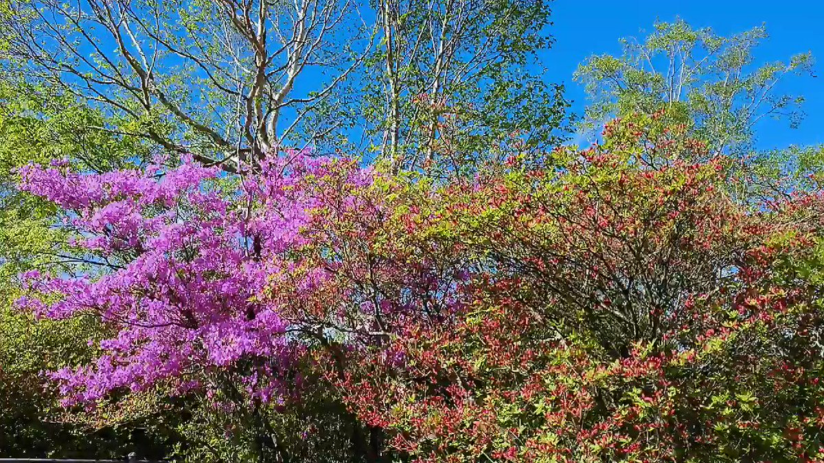 21年05月28日の赤城山 赤城山日記 21年05月28日の赤城山 赤城山日記