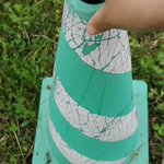 パイロンの中に小鳥の巣が・・・!かわいい小鳥にご注目
