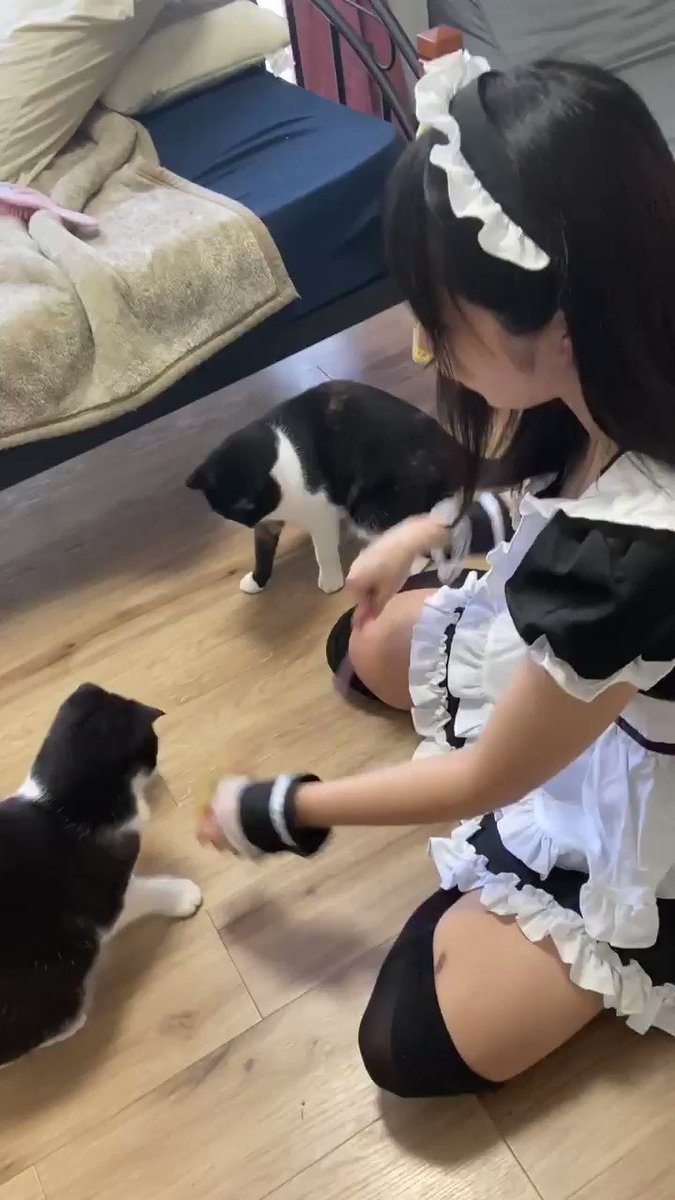 Video oleh @s_amae1031