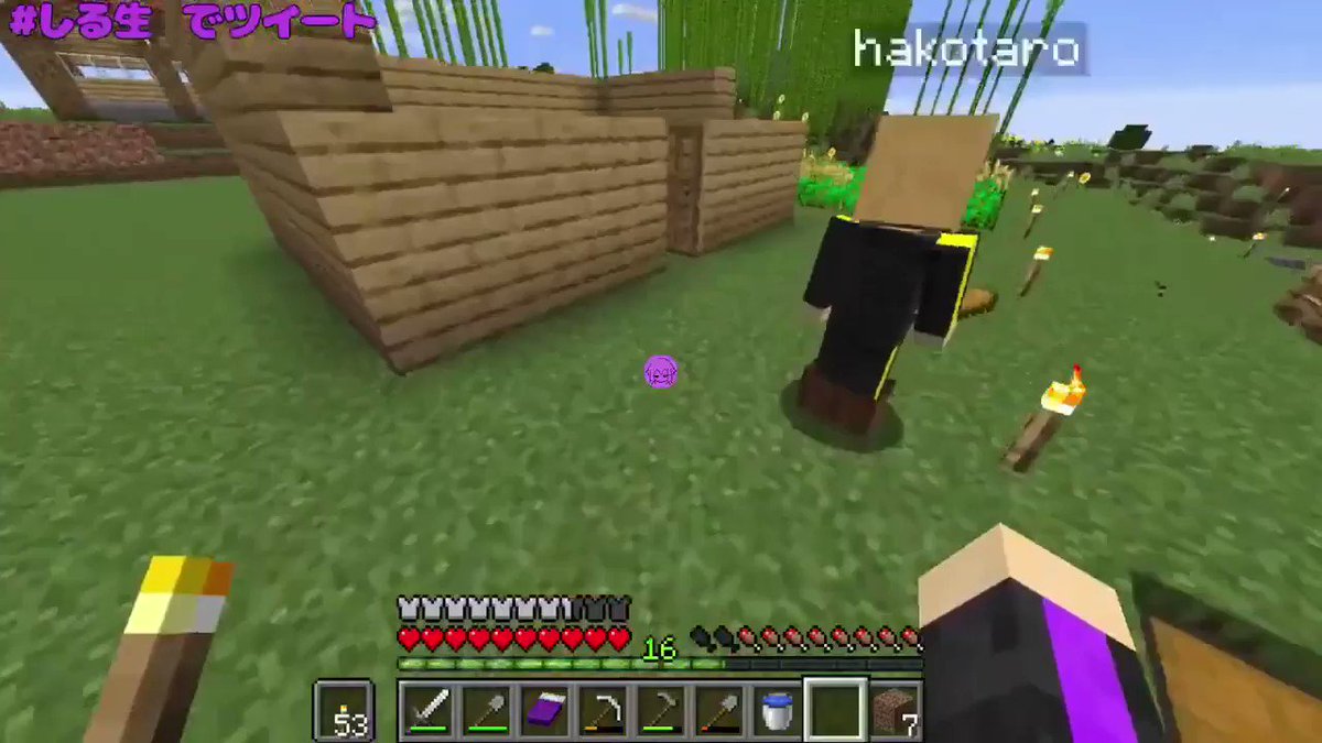 こういうのが楽しい。