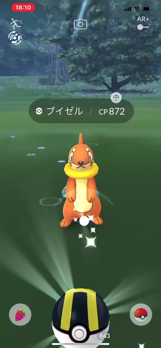 ポケモンgo ブイゼルの入手方法 能力 技まとめ 攻略大百科 ポケモンgo ブイゼルの入手方法 能力 技まとめ 攻略大百科