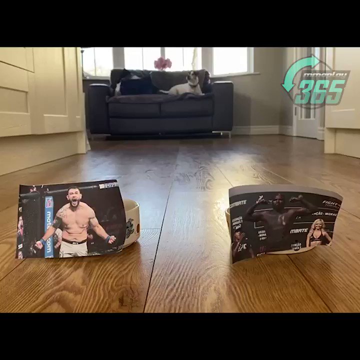 💥🐶 PET PREDICTIONS 🐶💥
It's predictions time! Watch as our MMAPlay365 pet, Reggie, predicts the #UFCVegas28 main event, Jairzinho Rozenstruik vs Augusto Sakai‼️
Who have you got?
#UFCBettingAdvice #UFC #PetPredictions #JairzinhoRozenstruik #AugustoSakai #Rozenstruik #Sakai https://t.co/1vZ5wjl0F2