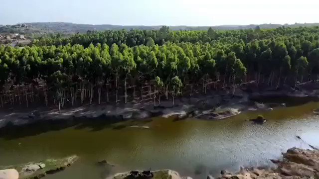 Secret lake Near Yadgarpalle👌👌 @HiHyderabad
Video courtesy: insta _vasu29_ https://t.co/ZHIAQ5ZgVL