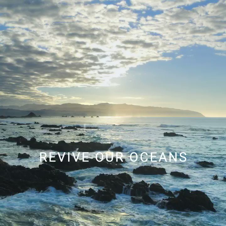 This #worldoceansday, we want to celebrate the beauty of our oceans, but also share why it’s so important that we protect and keep them healthy.
Tell us what the oceans mean to you and what you think we should be doing to help #reviveouroceans 🌊 https://t.co/kEBHOGsWOt