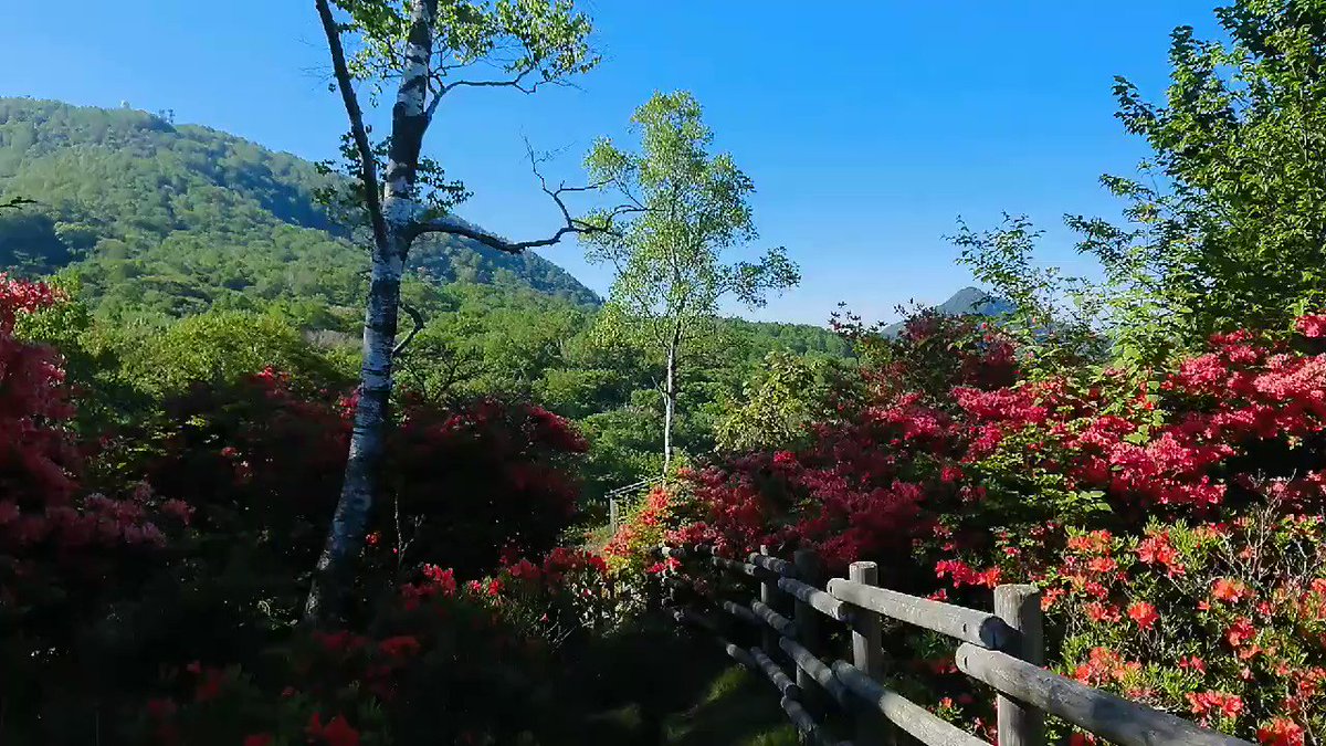 21年06月10日の記事 赤城山日記 21年06月10日の記事 赤城山日記