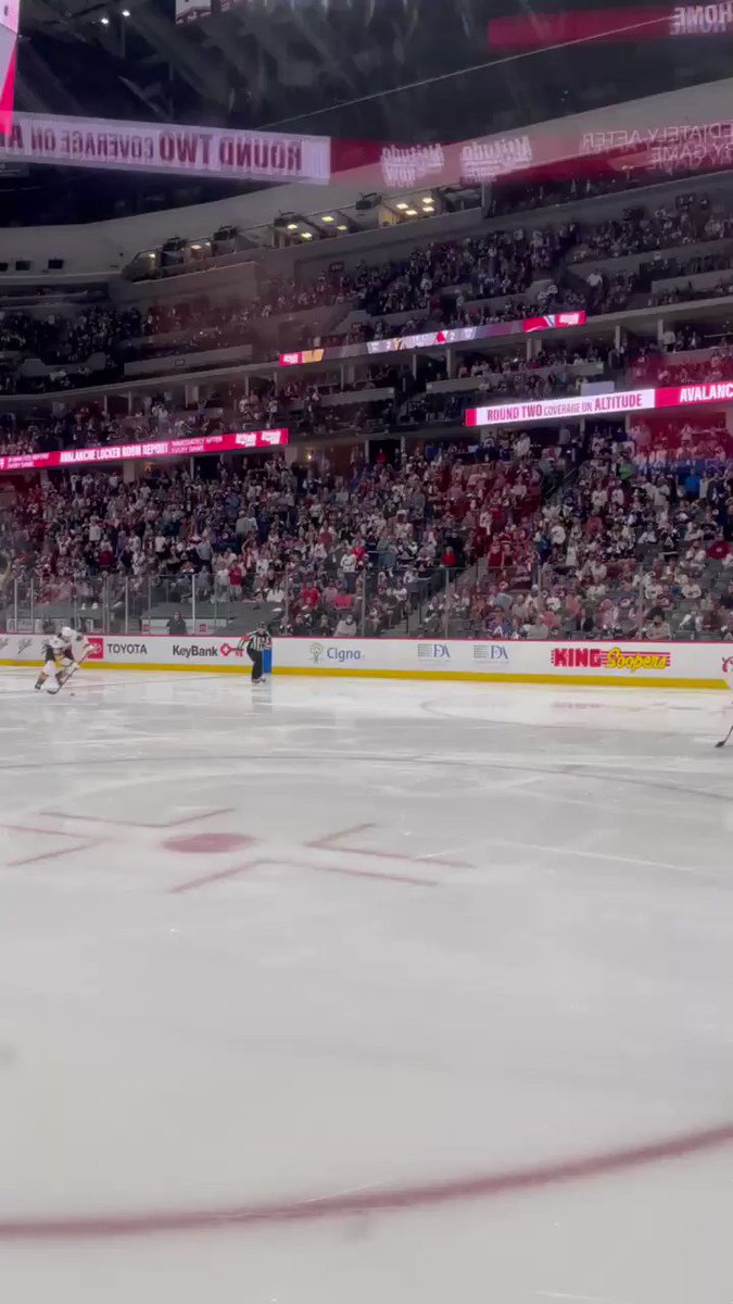 @GoldenKnights's photo on Sonja