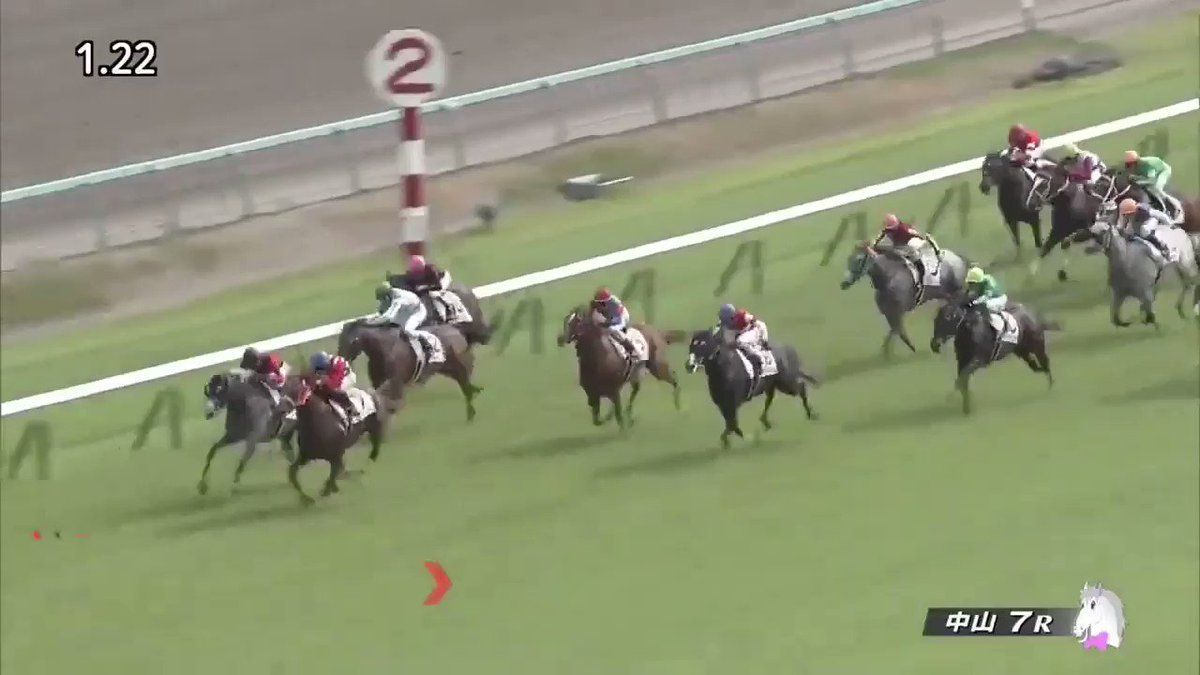 メイショウフェイクはないか。
分かる人にしか伝わらないけど。 