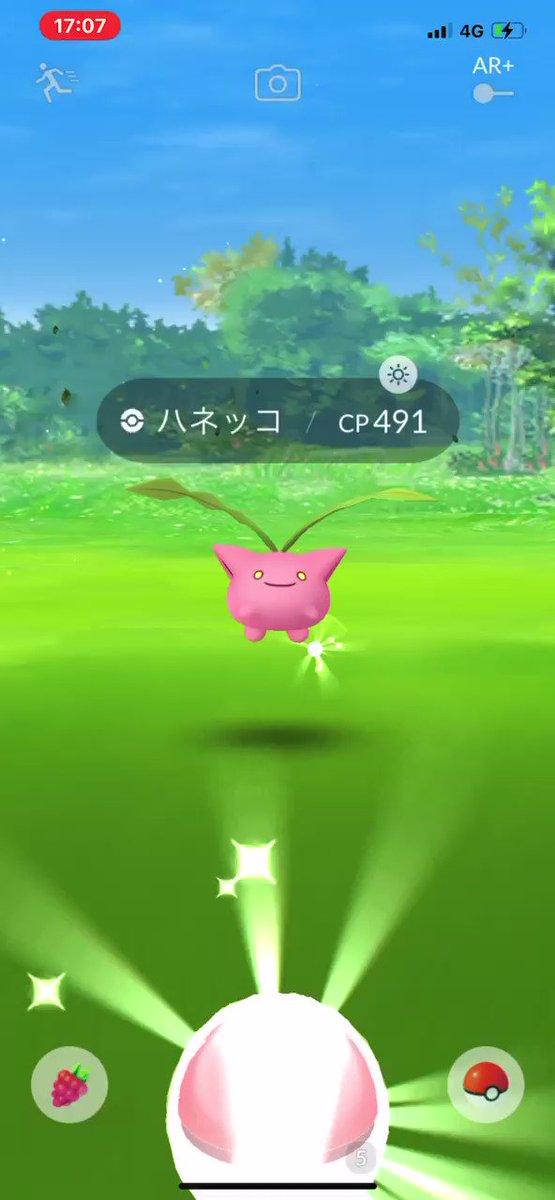 ポケモンgo ハネッコの入手方法 能力 技まとめ 攻略大百科 ポケモンgo ハネッコの入手方法 能力 技まとめ 攻略大百科