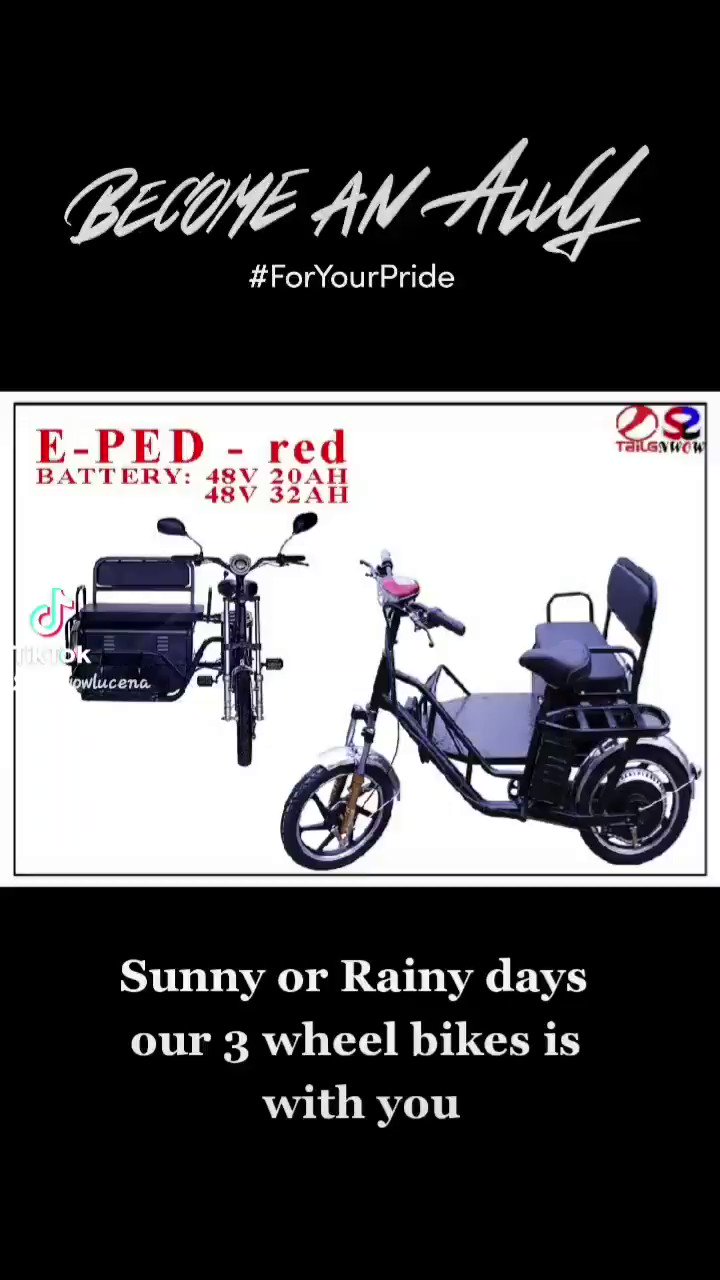 Nwow ebike with sidecar sale