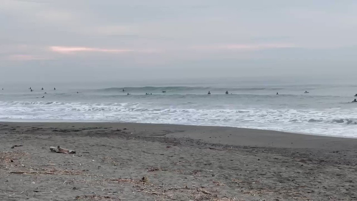 静岡 波ッス Shiz Surf Wave Twitter 静岡 波ッス Shiz Surf Wave Twitter