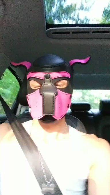 Goin to the park! Yaaaay! https://t.co/V5D5GaApoO
