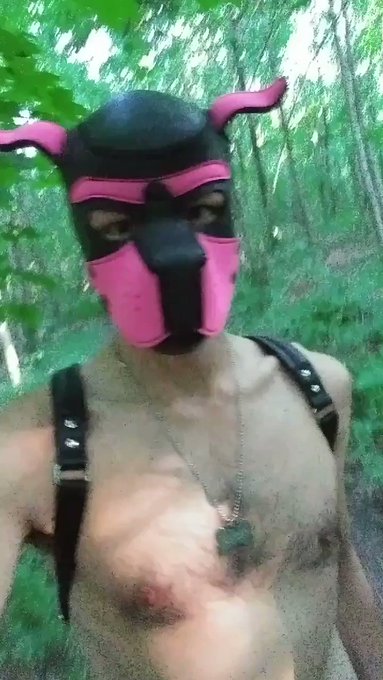 https://t.co/kPMwT2BkeF