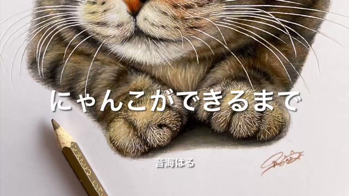 しろらぶ Shirolove10 Twitter しろらぶ Shirolove10 Twitter
