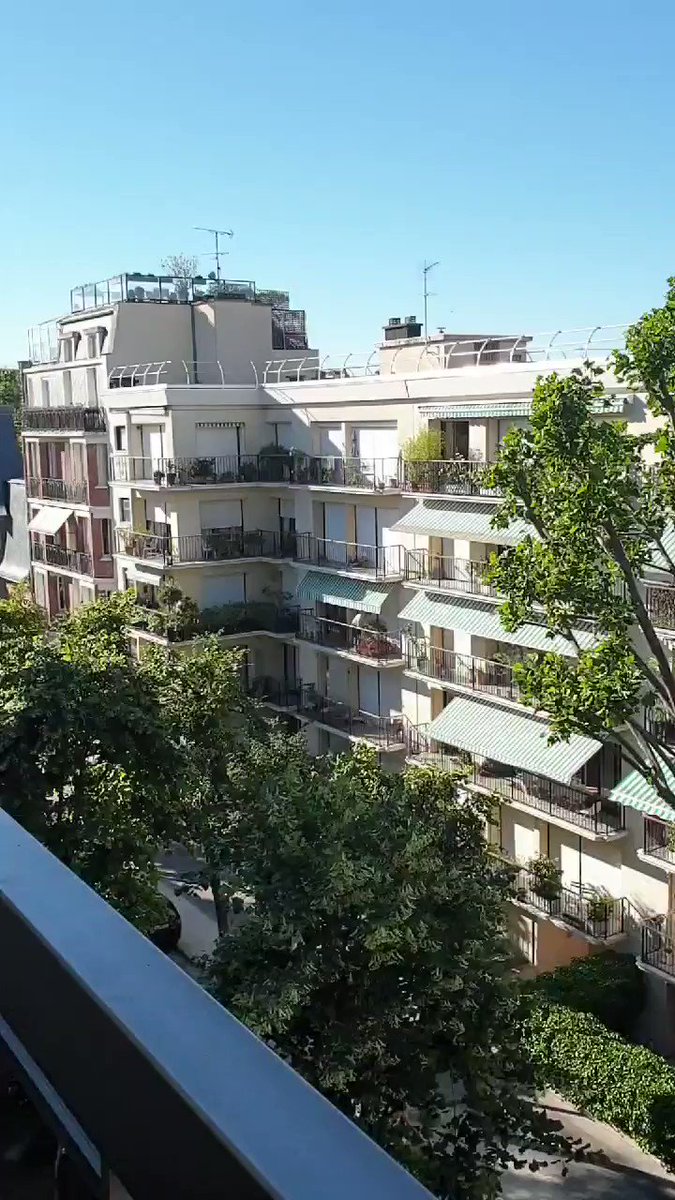 Things That Happen in Paris: man finally decides to saw up his dead Christmas tree - on a Sunday evening in June. Sound on for full impact of his inexplicable decision. https://t.co/FXKHIzNiPA