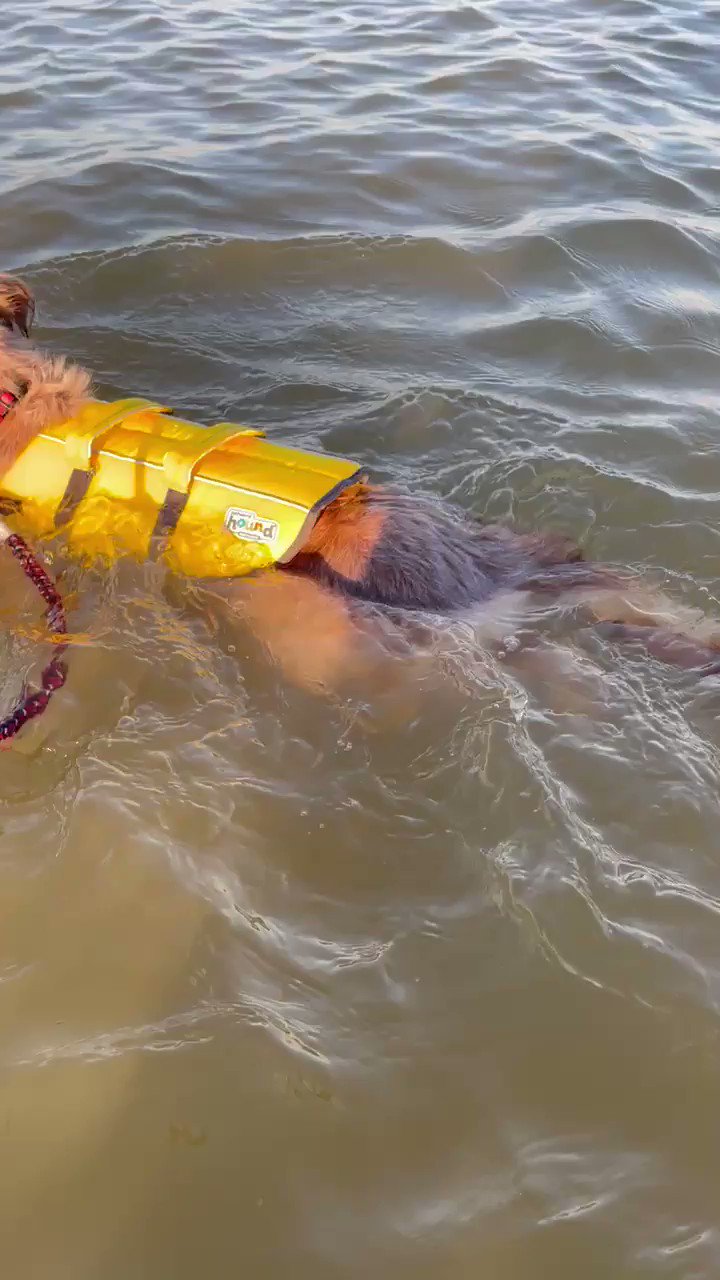 Shawn Ireland (ShawnIrelandNow) / Twitter