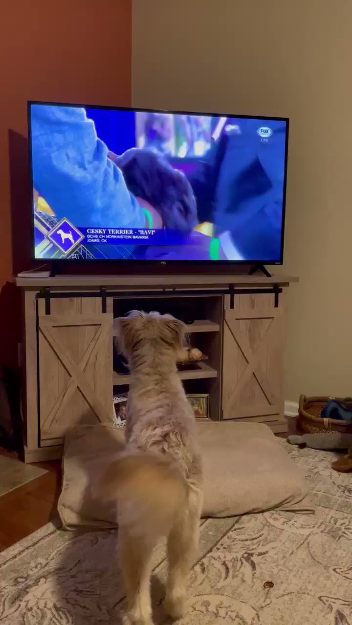 Shawn Ireland (ShawnIrelandNow) / Twitter