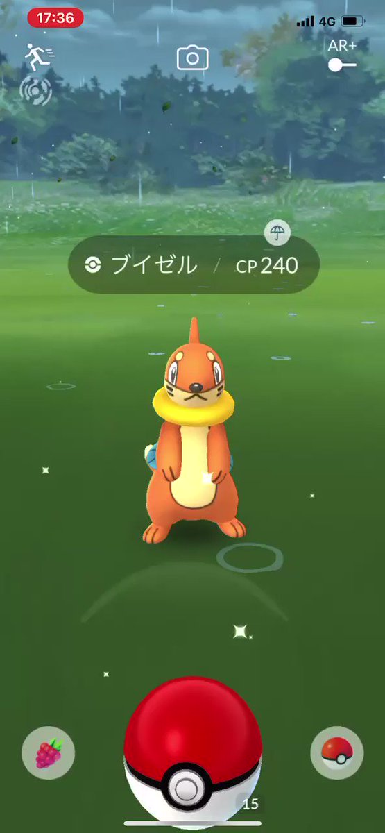 ポケモンgo ブイゼルの入手方法 能力 技まとめ 攻略大百科 ポケモンgo ブイゼルの入手方法 能力 技まとめ 攻略大百科