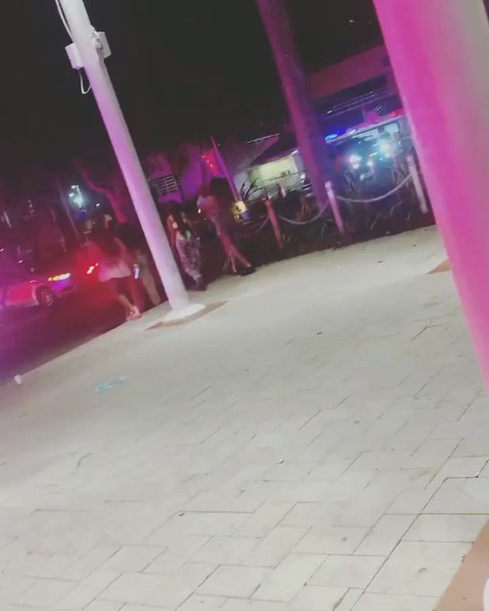 Me drunk in Miami https://t.co/iPD7Ly82Oo<a href="/tag/ganggangbitch"class="tags"><span>#ganggangbitch</span></a>