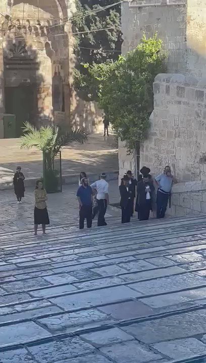 فيديو مستوطنون إسرائيليون يقتحمون المسجد الأقصى بقيادة عضو الليكود المتعصب يهودا غليك بحماية الشرطة الاسرائيلية