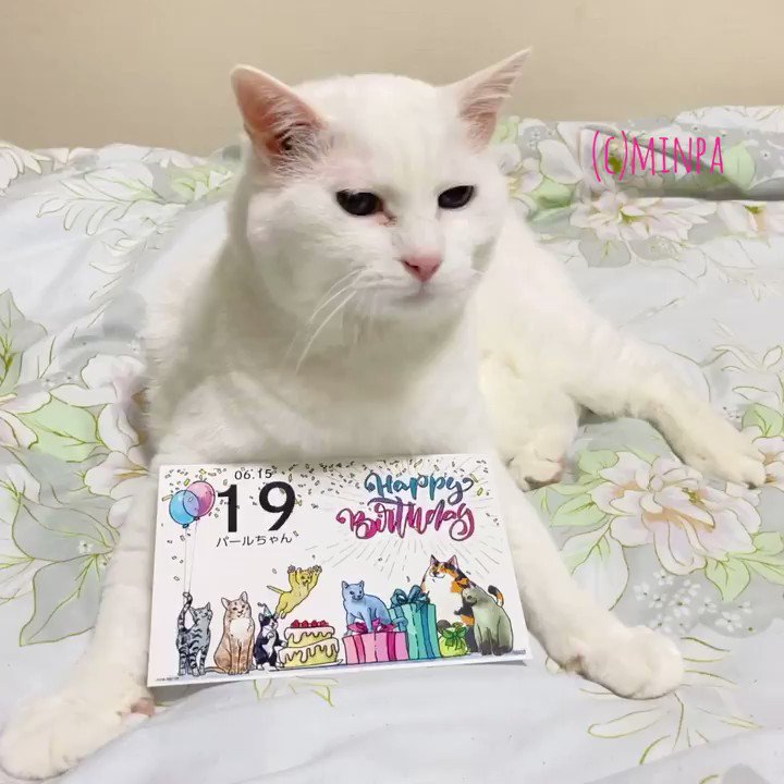 @idumi888's video Tweet
