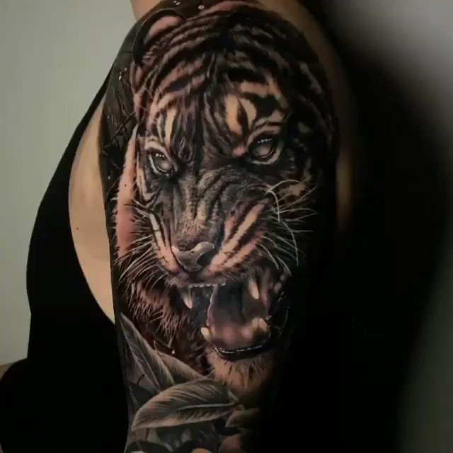 59 Tiger Face Tattoos Designs  Ideas