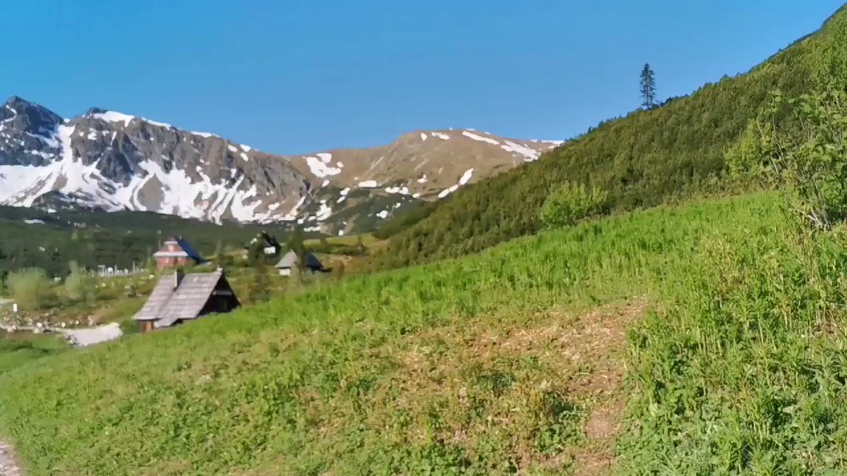 Another beautiful summer morning in the Tatra Mountains... 💕