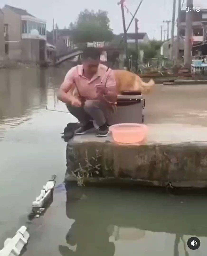 Dog saves a fish from dying
👍Like our Page for next Intresting post😎
#amazing #Interesting #stunning #naturephotography #explorepage #explore #animals #Facts #Awesome #Fascinating #your #damnit #nature #ocean #USA #foryou #impossible #amazingvideos #dubai #uae https://t.co/a0A00Po8It