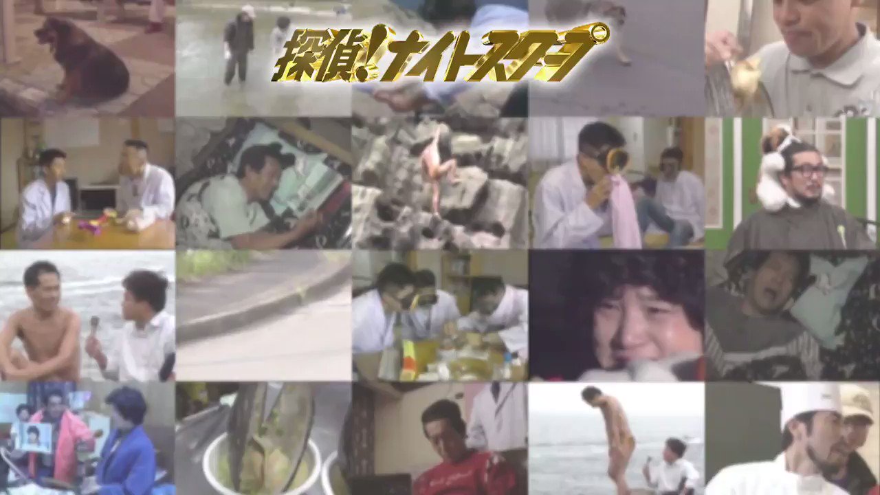 【貴重】探偵ナイトスクープ　越前屋俵太サイン SDQS5TJTCBMCXO6GBIOKDE4HU4.jpg
