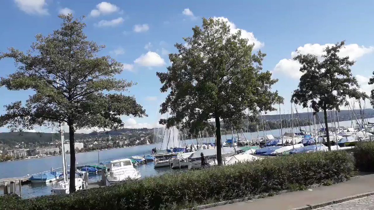 #Europe #Switzerland #Zurich
#Scenery #Amazing #awesome #wow #beautiful #natural #beauty
#heaven #scene #landscapes
#nature #naturelovers #naturephotography #naturelover #naturevideo #TravelDiaries #travelling #vacation #travel
Visited October 2019πββοΈ
Video taken by me π₯π·π² https://t.co/E4YIcYdfxp