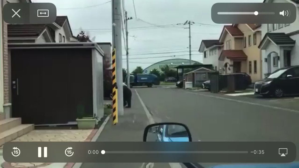札幌市に出没したクマ、テレビ局の車に煽られ被害が大きくなった？