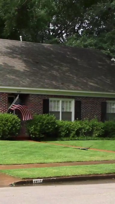 WOULD YOU GO HOME WITH https://t.co/kf70PycW2H 🤔 https://t.co/MTp3Lr8fB5