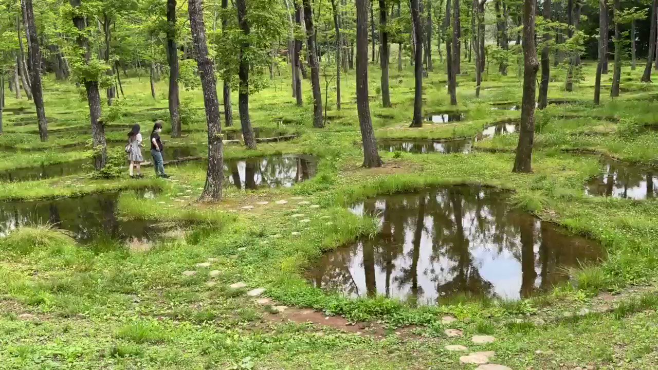 布施英利 on Twitter 