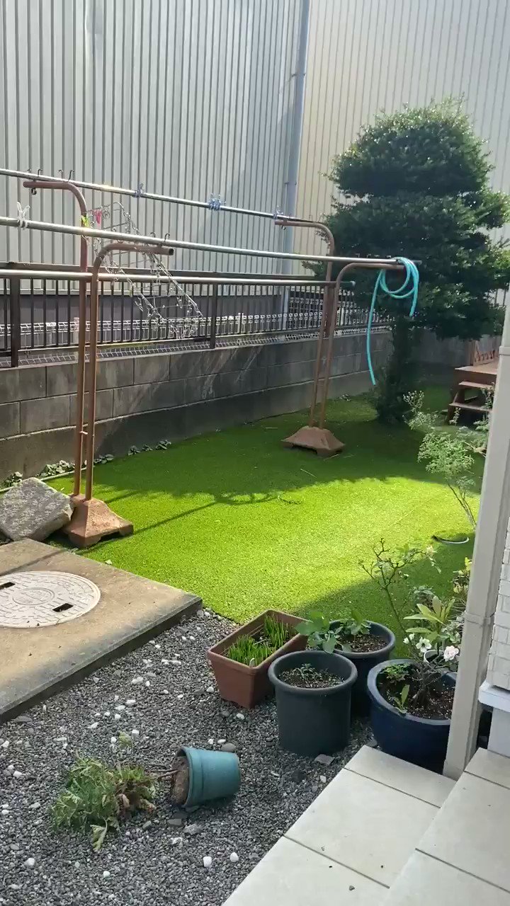 いろはにポテト d99ae58e22355d9d4659250d0b1160
