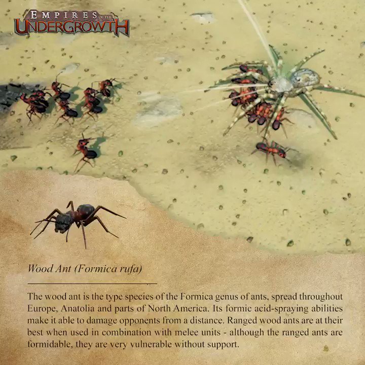 empires of the undergrowth ant types empires of the undergrowth ant types